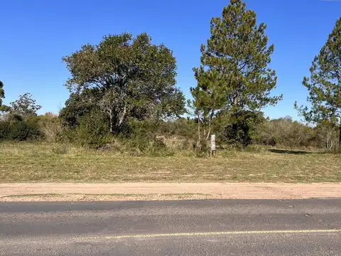 Terrenos en venta zona Termas San José sobre Ruta 26