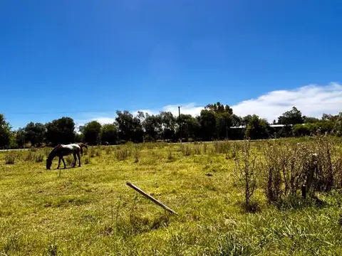 Venta 15 lotes c/ subdivisión entrada Carlos Keen