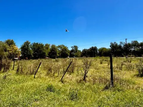 Carlos Pellegrini S/N