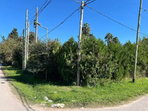 Terreno en Venta en Villa Elvira, USD 50.000