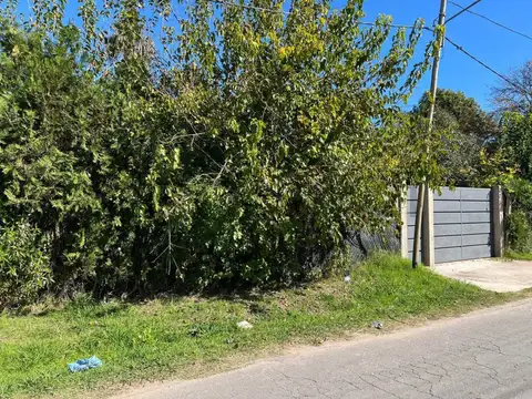 Venta en bloque – 3 lotes linderos en Villa Elvira, La Plata