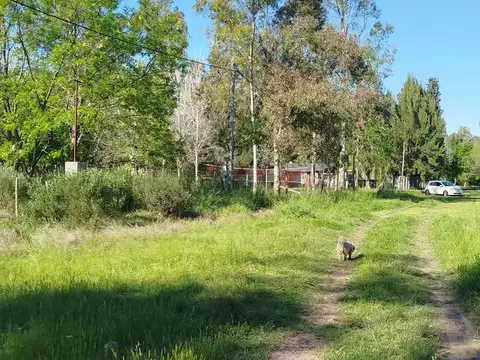 Terreno en Venta de 1290,0 m2