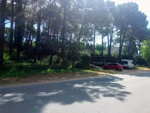 Avenida Martin Pescador e/ Juno Y Del Berberecho