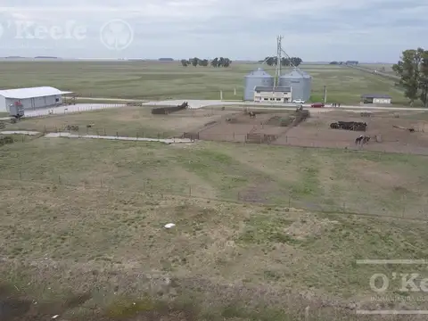 Campo Mixto en Genaral Alvear. 3100 Has armadas sobre Ruta. Excelente unidad de negocio.