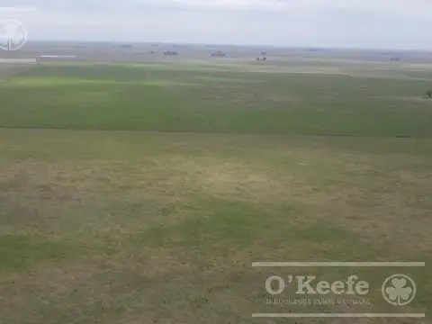 Campo Mixto en Genaral Alvear. 3100 Has armadas sobre Ruta. Excelente unidad de negocio.