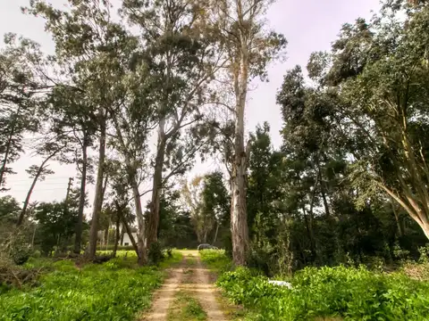 Terreno en Venta en Arana, USD 29.000