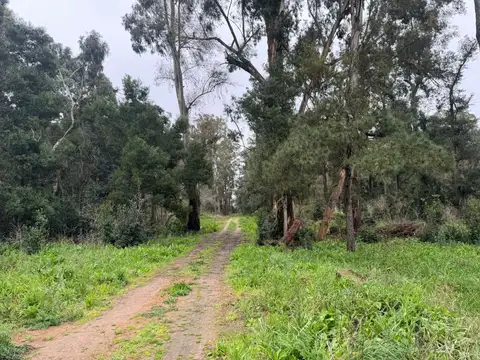 Terreno en Venta en Arana, USD 29.000