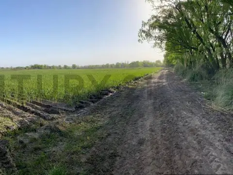 FINCA EN VENTA SAN CARLOS