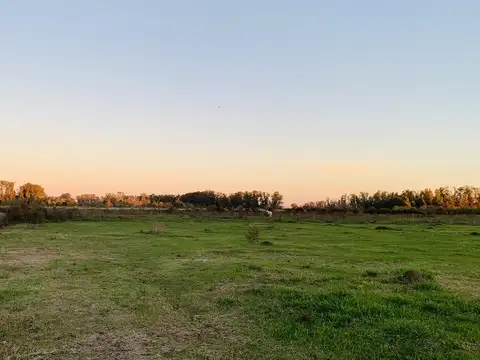 Terreno en Venta de 600,0 m2