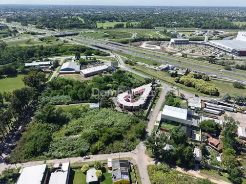 Terreno en Alquiler de 3049,0 m2