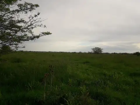 Terreno en Venta de 10575,0 m2