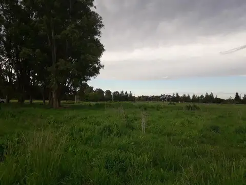 Terreno en Venta en Berisso, USD 85.000