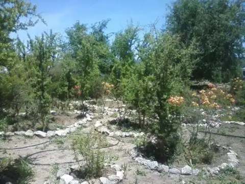 TERRENO EN VENTA LOS COCOS