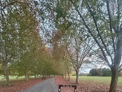 Oportunidad Lote Est. Villa María