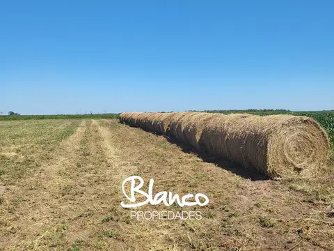 Campo  en Venta en Villa Mercedes, Pedernera, San Luis