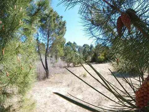 Terreno en Venta de 695,0 m2