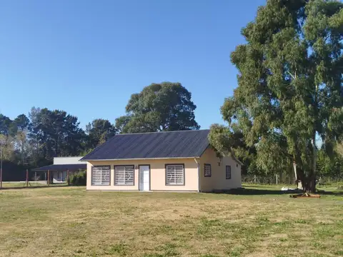 Valle del Río Negro  49