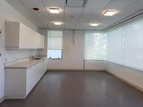 Avenida Libertador  al 100