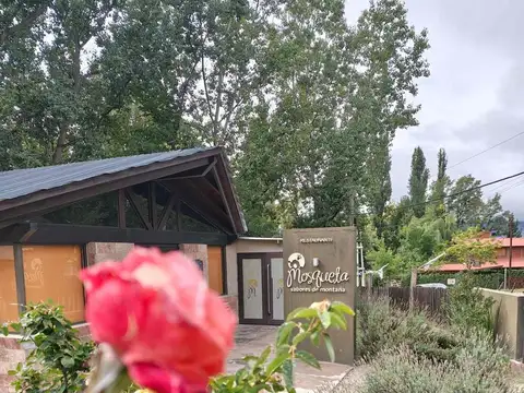 Potrerillos Potencial Turístico y Gastronómico