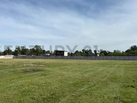 Ocantos y Discepolo , Piso 0