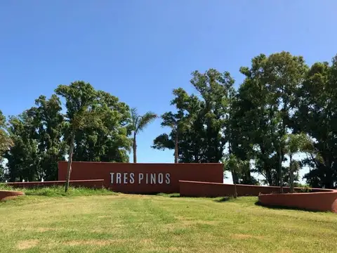 VENTA LOTE TRES PINOS GRAL RODRIGUEZ SECTOR LAGUNA