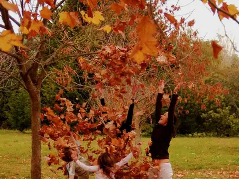 VENTA Terreno en Barrio Pinares de Santa Clara Manzana 19 Lote 4