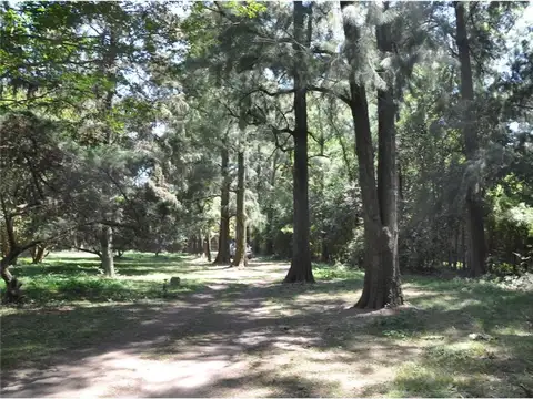 VENTA FRACCIÓN 2 Hect PILAR.,La Lonja, OPORTUNIDAD