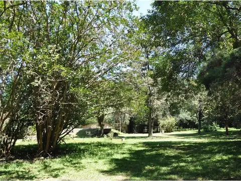 Terreno en Venta de 20000,0 m2