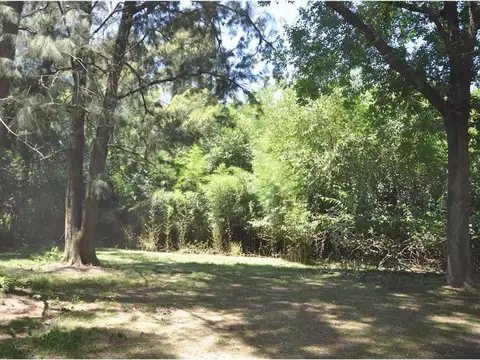 Terreno en Venta de 20000,0 m2