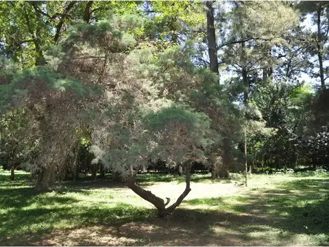 Terreno en Venta en La Lonja, USD 416.000