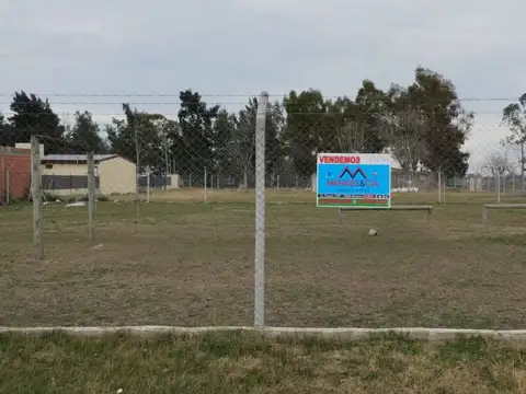 Terreno - Venta - Argentina, Domselaar