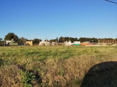 Terreno en Venta de 250,0 m2