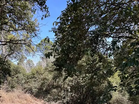 LOTE EN POTRERO DE GARAY