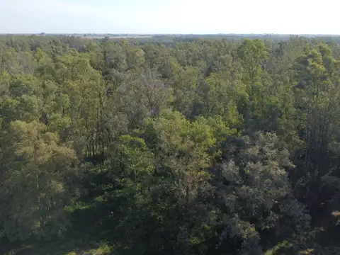 Lote en Estrella Federal 13.365m2