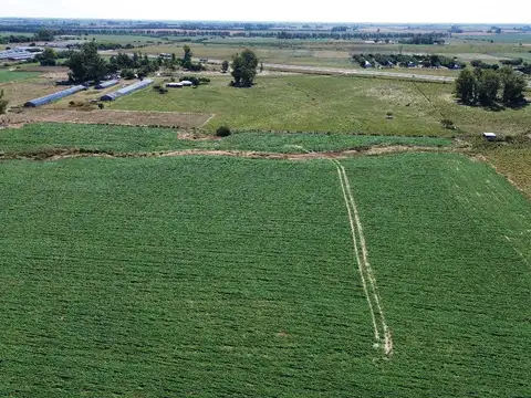 Vendo Campo 24 Has en Ruta 14 Concepción del Uruguay Entre Ríos