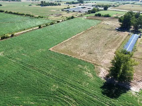 Vendo Campo 24 Has en Ruta 14 Concepción del Uruguay Entre Ríos