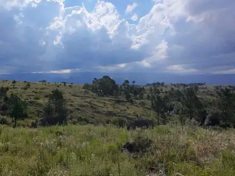 Terreno en Venta de 16160,0 m2