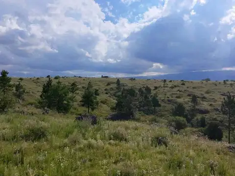 SE VENDE FRACCION 1.6 HECTAREAS EN VILLA YACANTO