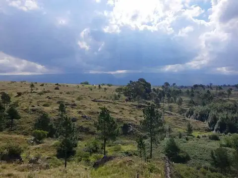 Terreno en Venta de 16160,0 m2