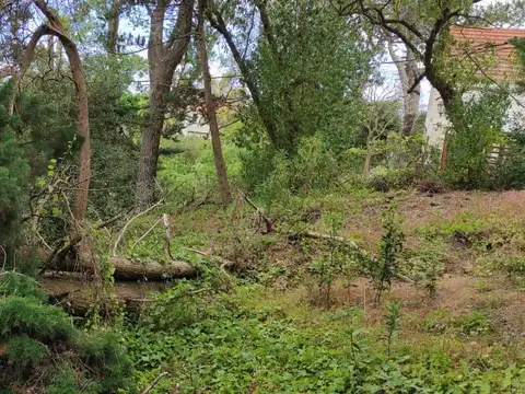 Terreno en Venta de 790,22 m2