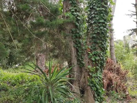 alameda 205 entre 307 y 300