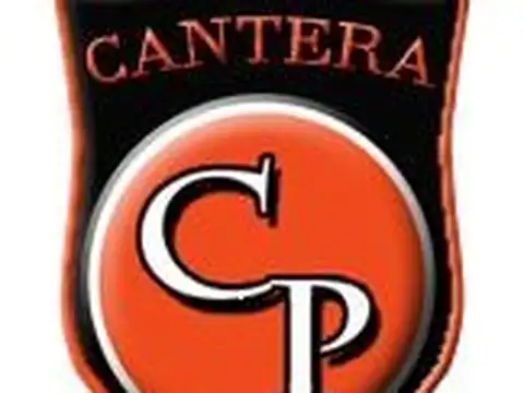 LOTE EN GRAL. RODRIGUEZ