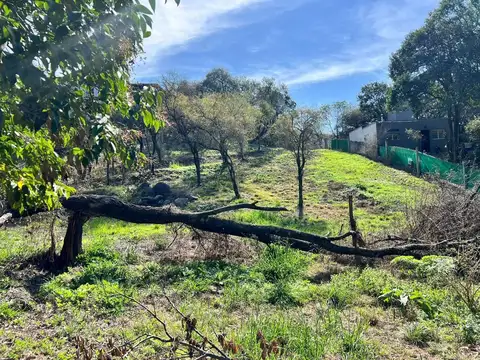 Terreno en Venta de 715,0 m2