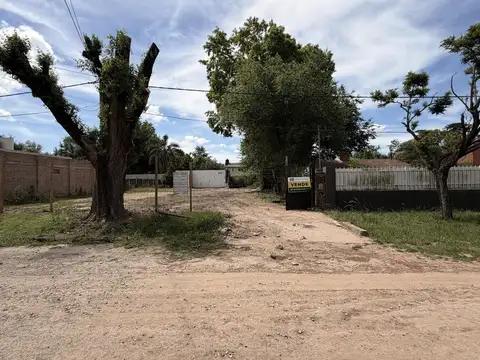 Terreno en Venta de 350,0 m2