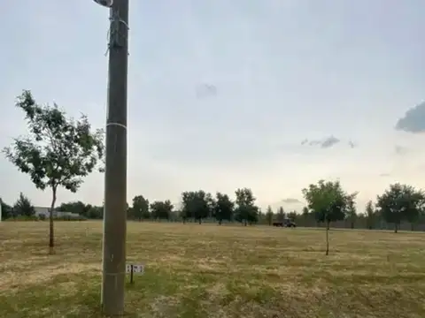 Terreno en Venta en Fincas de San Vicente, USD 38.000