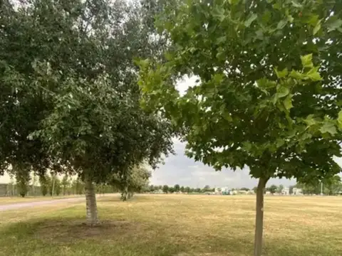 FINCAS SPORTING! LOTE DOBLE, ESCUCHA OFERTAS 