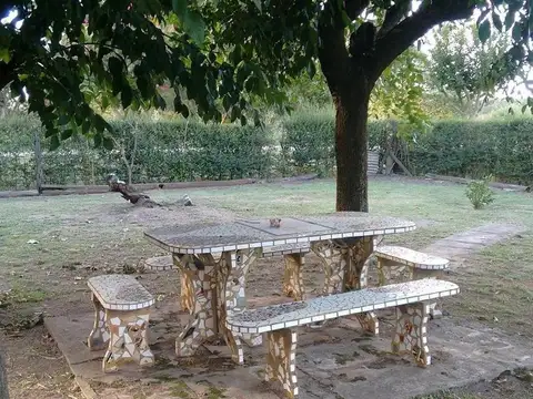 CAMPO 2.5HAS CON MEJORAS SAN PEDRO