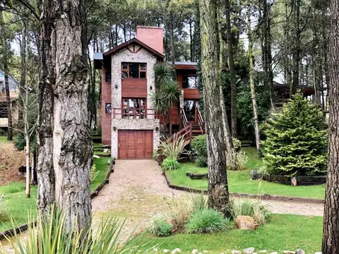 Alberto Williams y Las Acacias 100