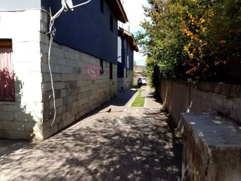 Vega San Martín 100