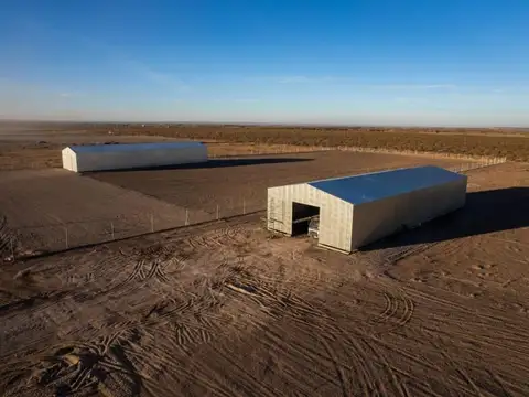 Alquilo Galpon 750 m2 - Predio 20000 m2 en Ruta del Petroleo
